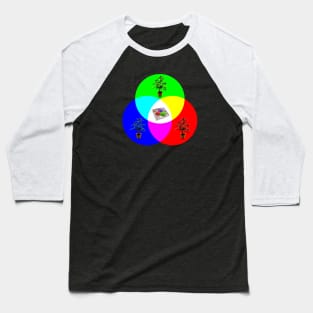 Herb Wheel Baseball T-Shirt